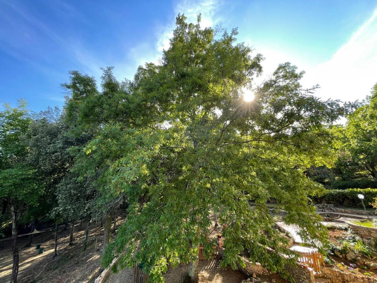 سيينا Villa Lilia By Let المظهر الخارجي الصورة